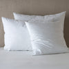 Bella Notte Linens Pillow Inserts