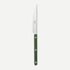 Sabre Bistrot Shiny Green Dinner Knife