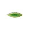 Costa Nova Riviera Tomate Laurel Leaf Plate