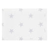 Mode Living Starry Night Silver Placemats (set of 4)