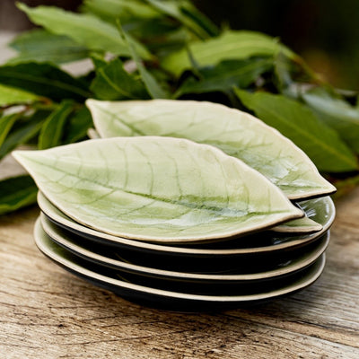 Costa Nova Riviera Tomate Laurel Leaf Plate