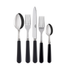 Sabre Paris Pop Unis (a.k.a. Basic) 5-piece Place Setting