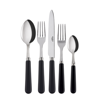 Sabre Paris Pop Unis (a.k.a. Basic) 5-piece Place Setting