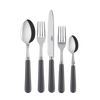 Sabre Paris Pop Unis (a.k.a. Basic) 5-piece Place Setting