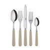 Sabre Paris Pop Unis (a.k.a. Basic) 5-piece Place Setting