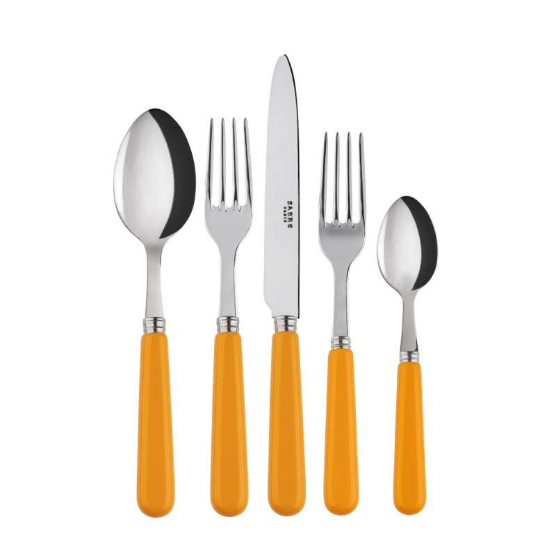 SABRE PARIS Basic 5-piece Place Setting - Yvonne Estelle's SABRE PARIS Basic 5-piece Place Setting - Yvonne Estelle's