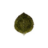 Costa Nova Riviera Forets Hydrangea Leaf Plate