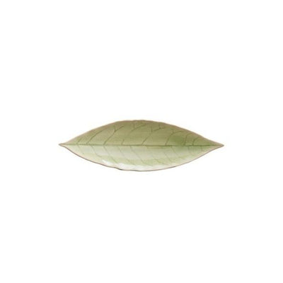 Costa Nova Riviera Vert Laurel Leaf