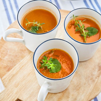 Costa Nova Beja Mug Bowl