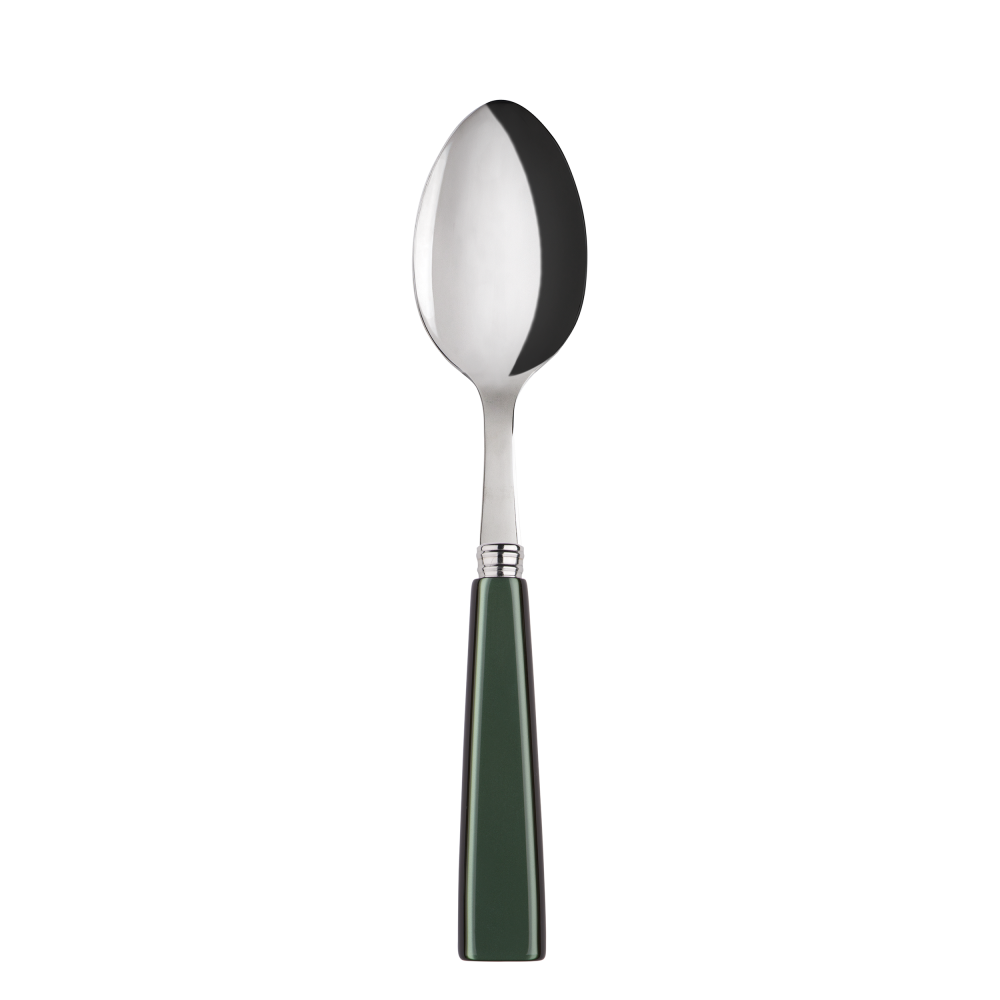 Sabre Paris Natura Dark Green Soup Spoon
