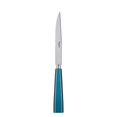 Sabre Paris Natura Turquoise Steak Knife