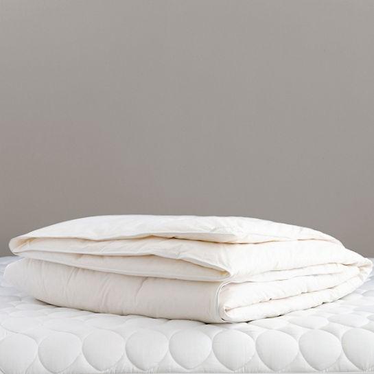 Pine Cone Hill Chrysalis Duvet