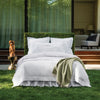 Sferra Giotto Bedding